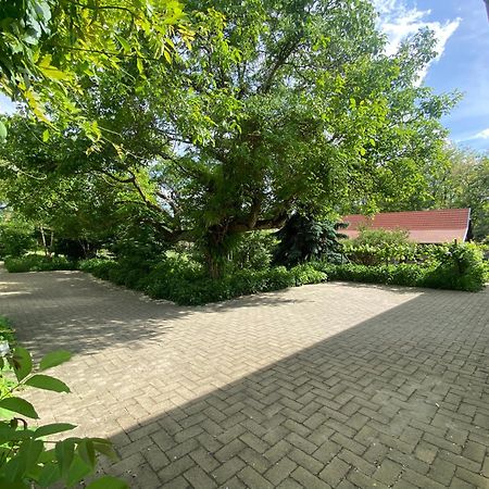 Racz Birtok Lajosmizse Apartment Luaran gambar