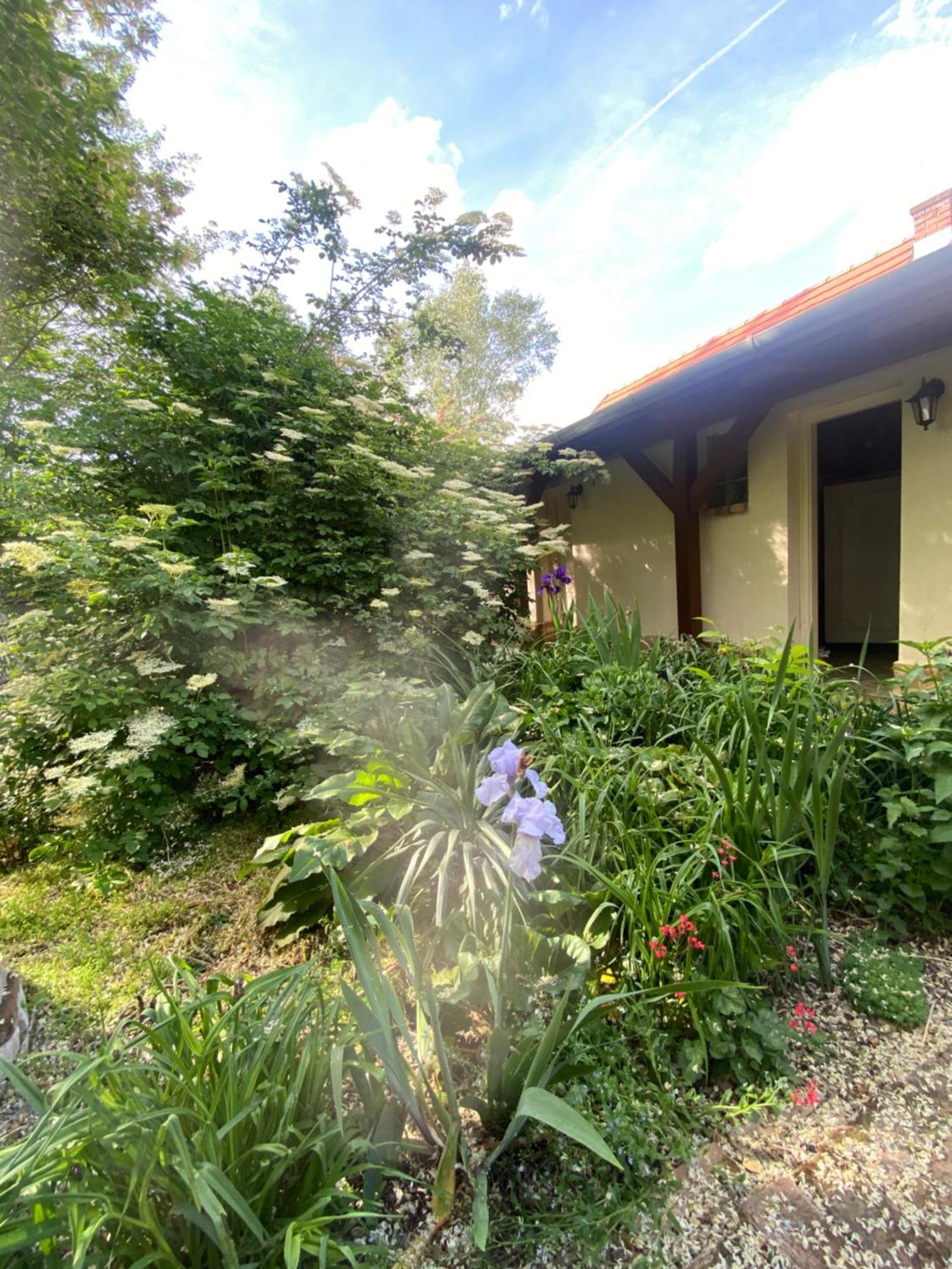 Racz Birtok Lajosmizse Apartment Luaran gambar