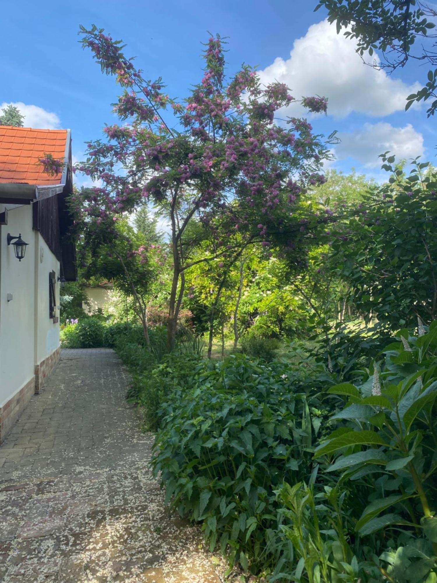 Racz Birtok Lajosmizse Apartment Luaran gambar