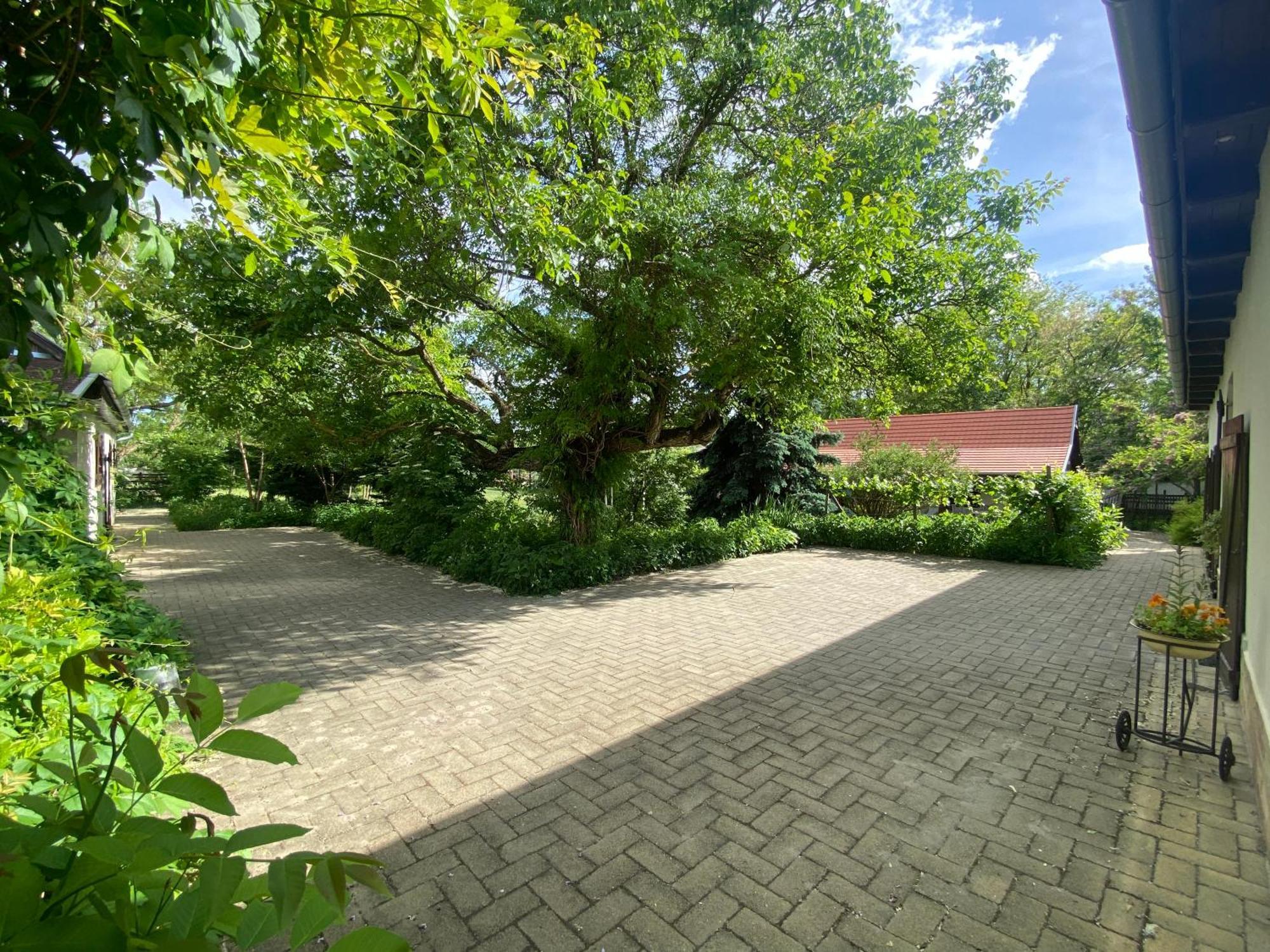 Racz Birtok Lajosmizse Apartment Luaran gambar