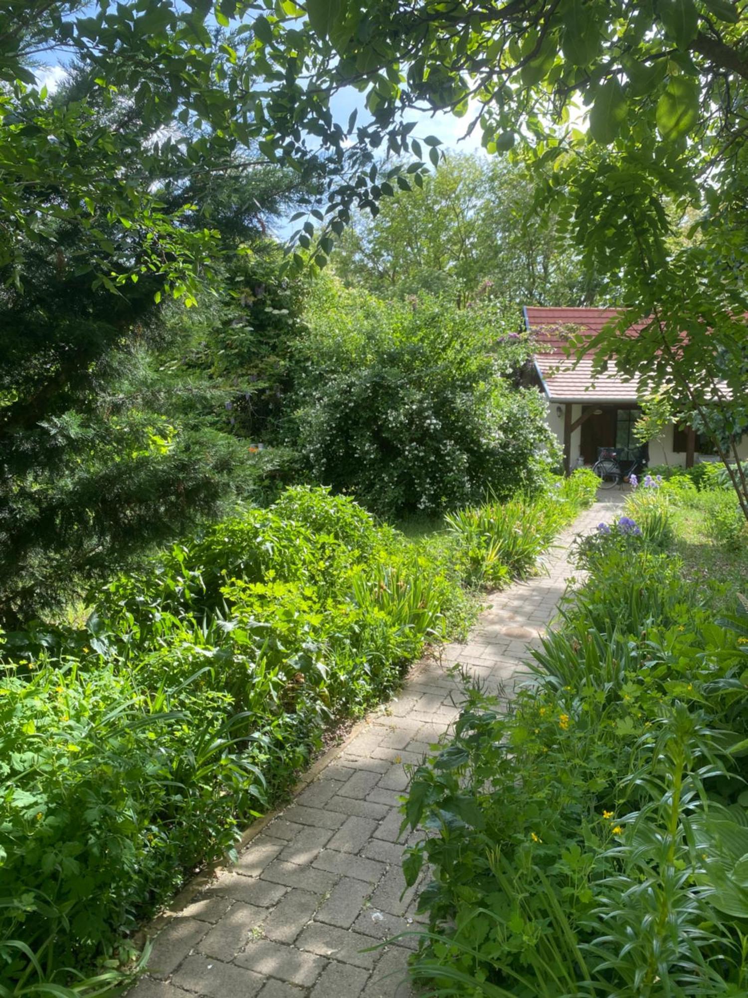 Racz Birtok Lajosmizse Apartment Luaran gambar